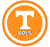 Amscan THEME: SPORTS University of Tennessee Plates - 7"