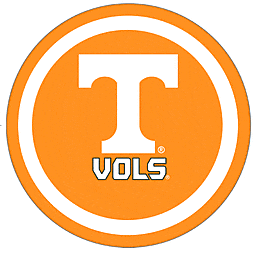 Amscan THEME: SPORTS University of Tennessee Plates - 9&quot;