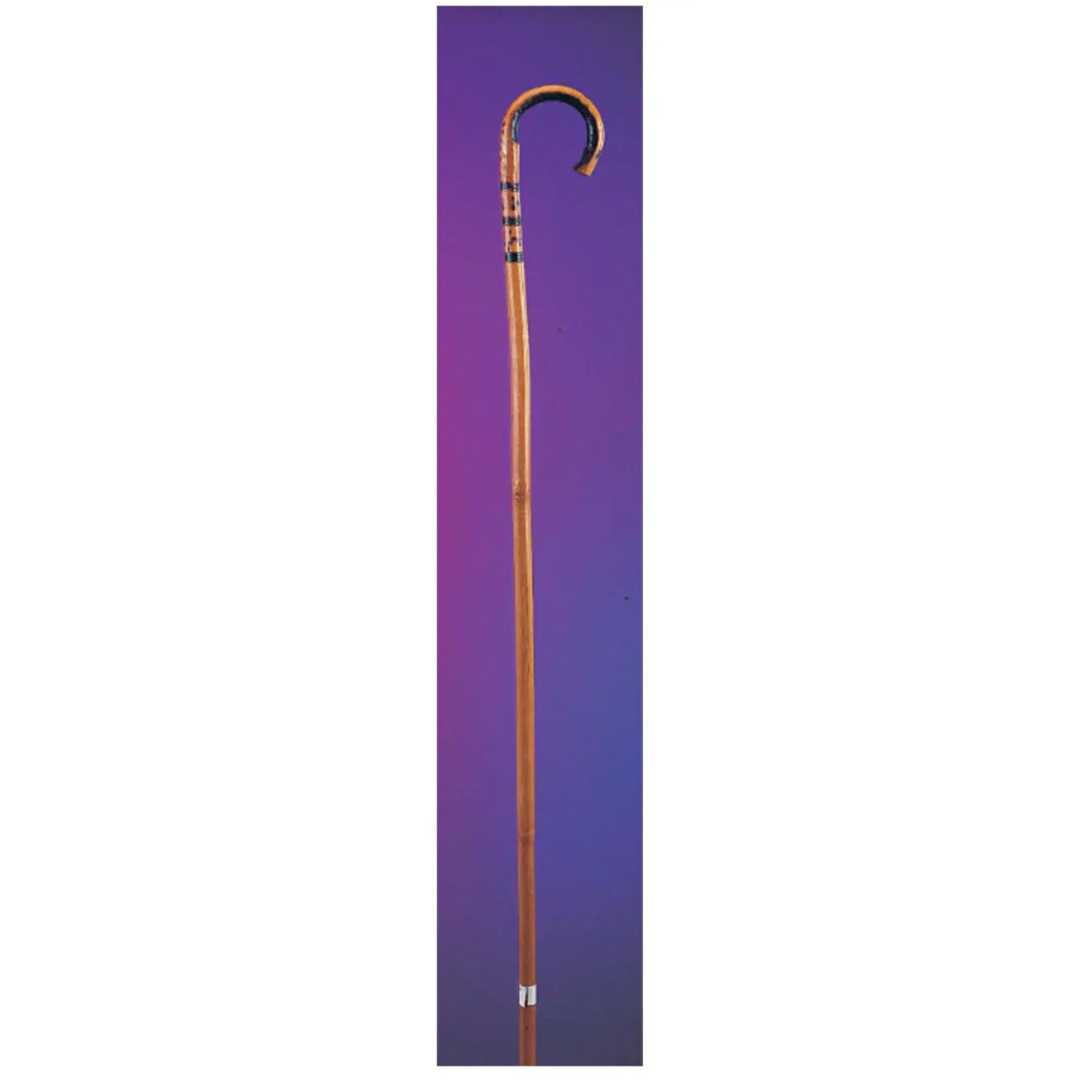 Bamboo Cane