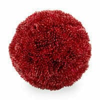 Boston International, Inc. BOUTIQUE Large Red Berry Ball