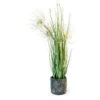 Boston International, Inc. BOUTIQUE SUNNY FLOWER GRASS