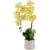 Boston International, Inc. HOLIDAY: EASTER YELLOW ORCHID