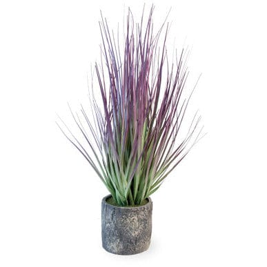 Boston International, Inc. Purple Grass Cement Pot