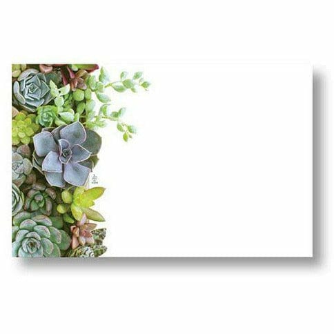 Burton and Burton GIFT WRAP Succulents Blue Card