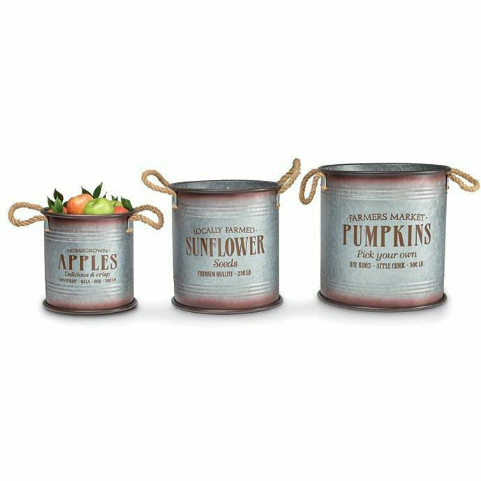 Burton and Burton HOLIDAY: FALL 10"H x 10" - Apples Fall Themed Planters - Individually Sold