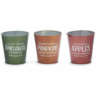 4" Fall Market Pot Cover Individual and Assorted - Red