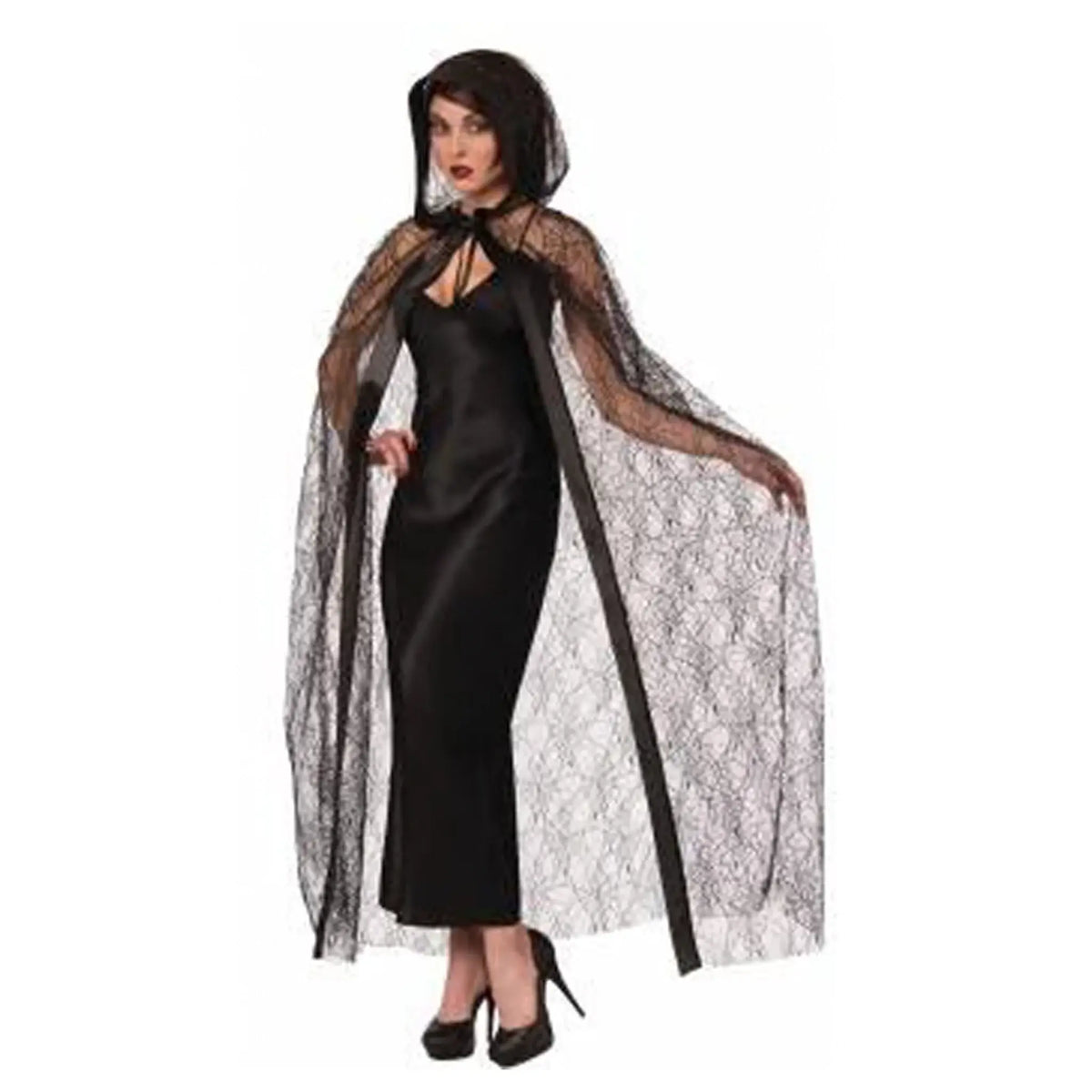 Cape-hooded Spider Web