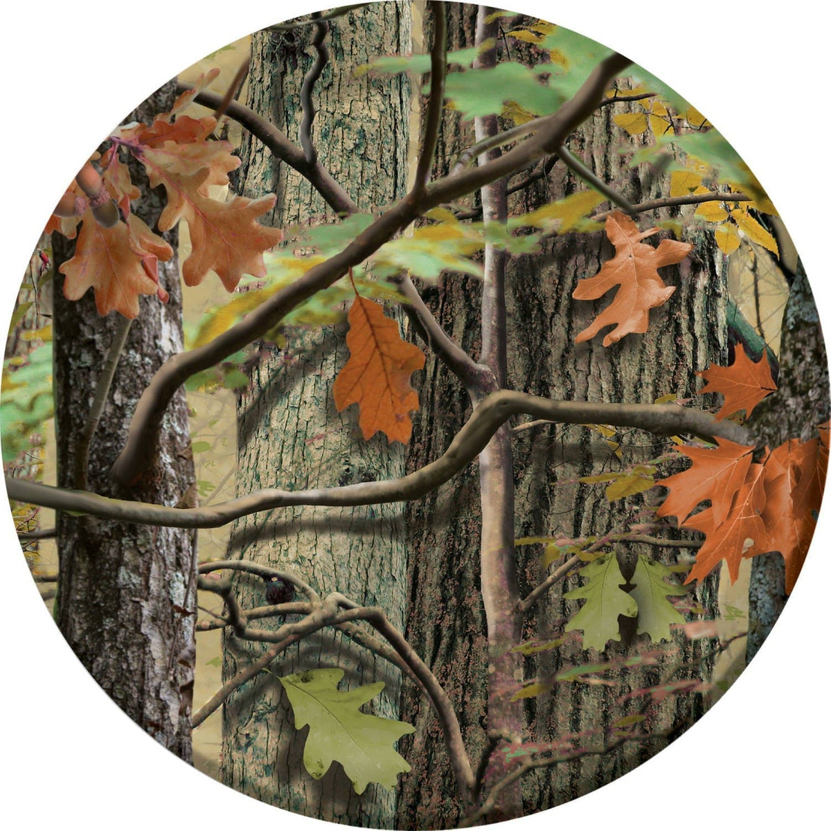 Creative Converting BIRTHDAY: JUVENILE Hunting Camo 9" Plates