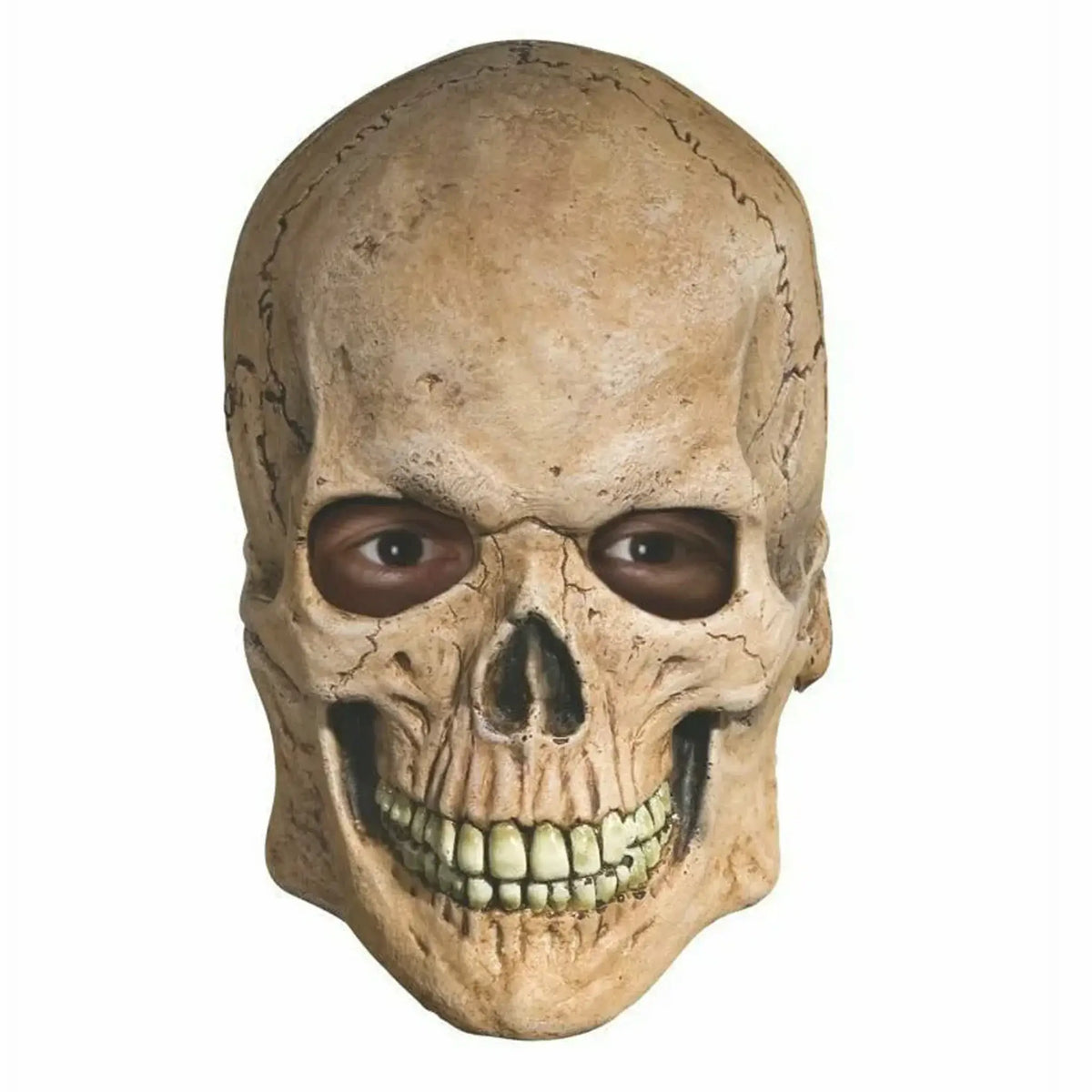 Crypt Skull Mask