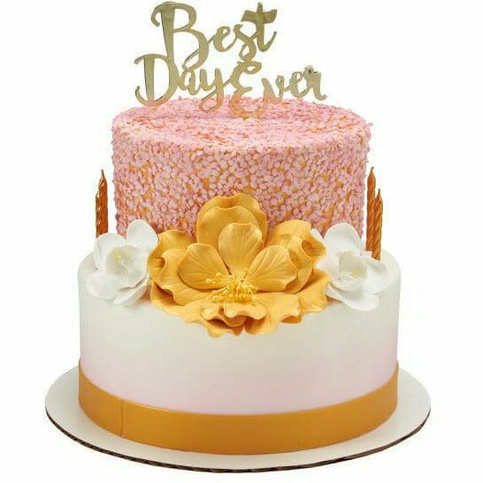 Deco Pac CAKE Best Day Ever Individual and Assorted Cake Topper