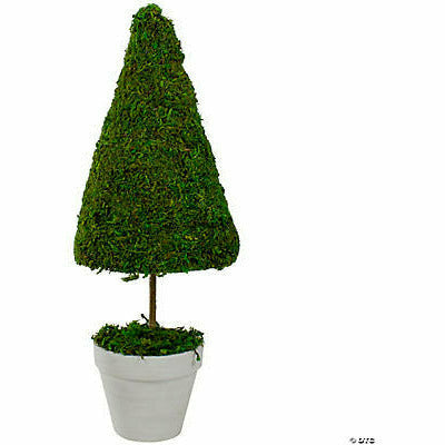 FUN EXPRESS BOUTIQUE 21&quot; Reindeer Moss Potted Artificial Spring Floral Topiary Tree