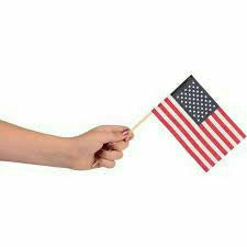 FUN EXPRESS HOLIDAY: PATRIOTIC 1 Dozen American Flags