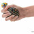 FUN EXPRESS TOYS Mesh-Covered Water Bead Stress Balls