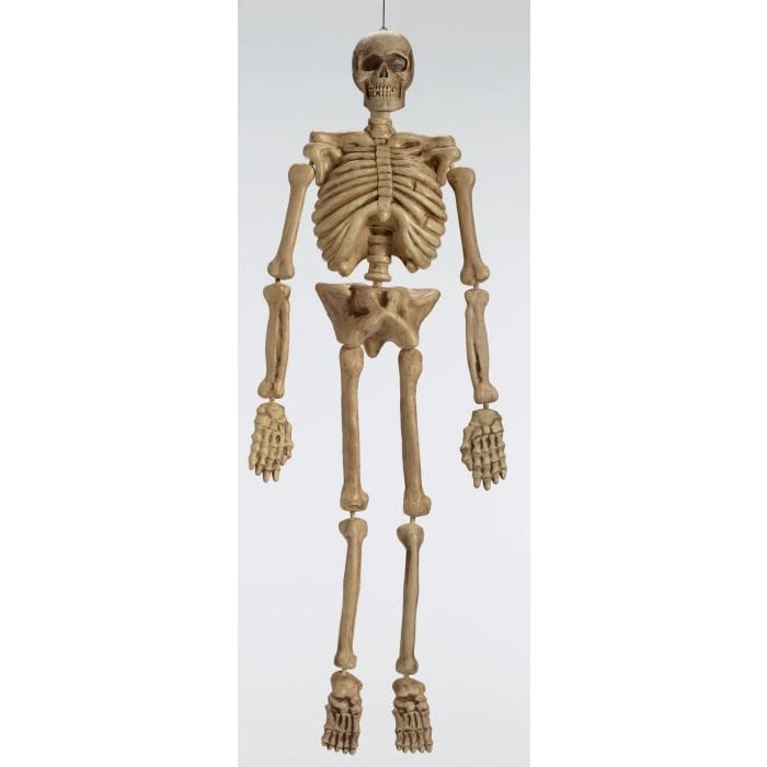 Fun World HOLIDAY: HALLOWEEN 5 ft. Realistic Skeleton