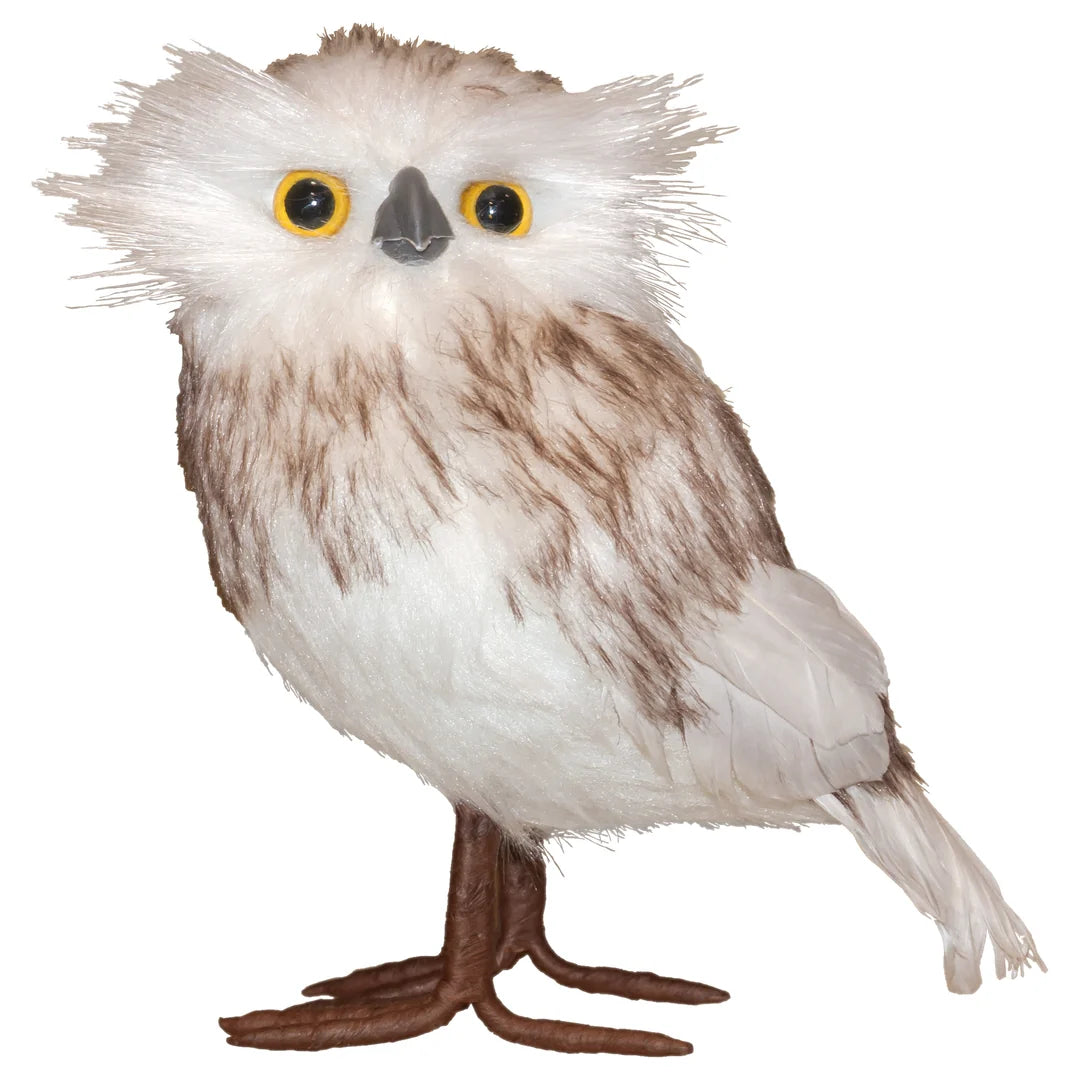 Snowy Fledgling Owl