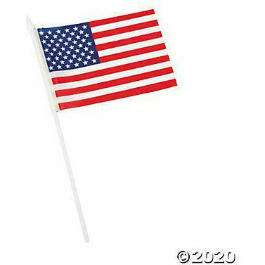Oriental Trading HOLIDAY: PATRIOTIC AMERICAN FLAG -12CT
