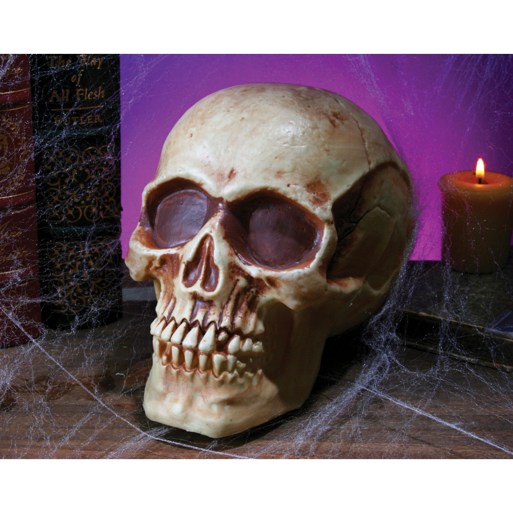 8" Skull