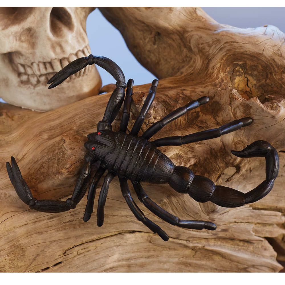 Jumbo Scorpion 6.5"
