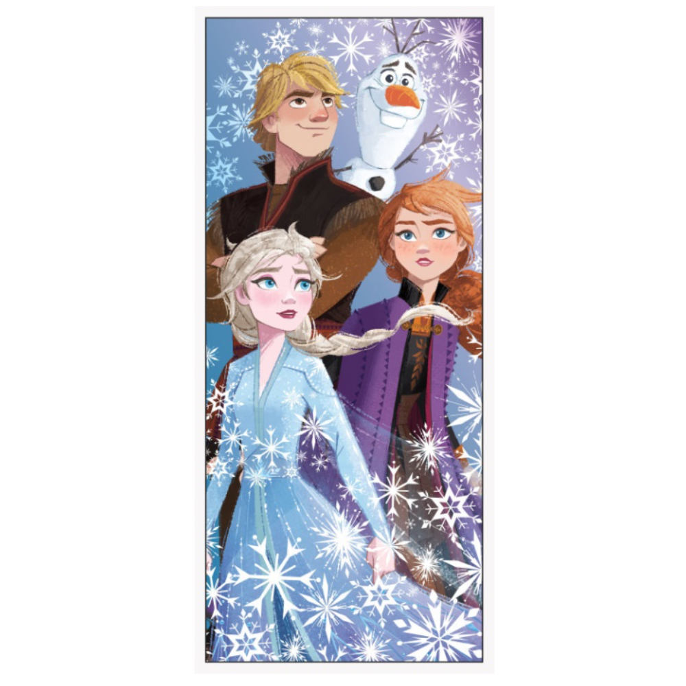 Disney Frozen 2 Door Poster  27" x 60"