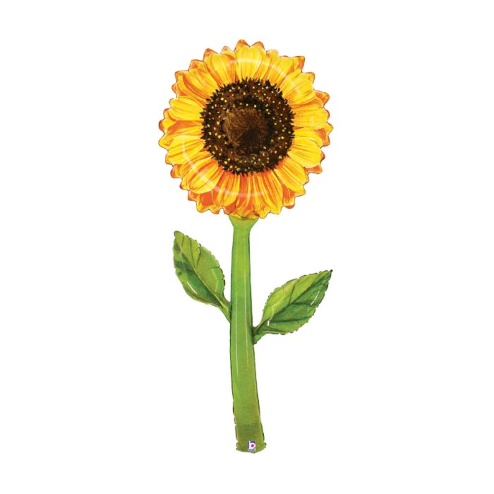 470 64"PKG SUNFLOWER FRESH PICKS
