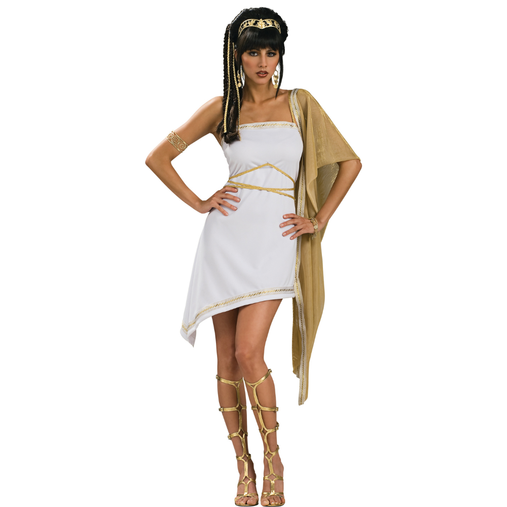 greek dress women Rubies Womens Grecian Goddess Costume, Standard
