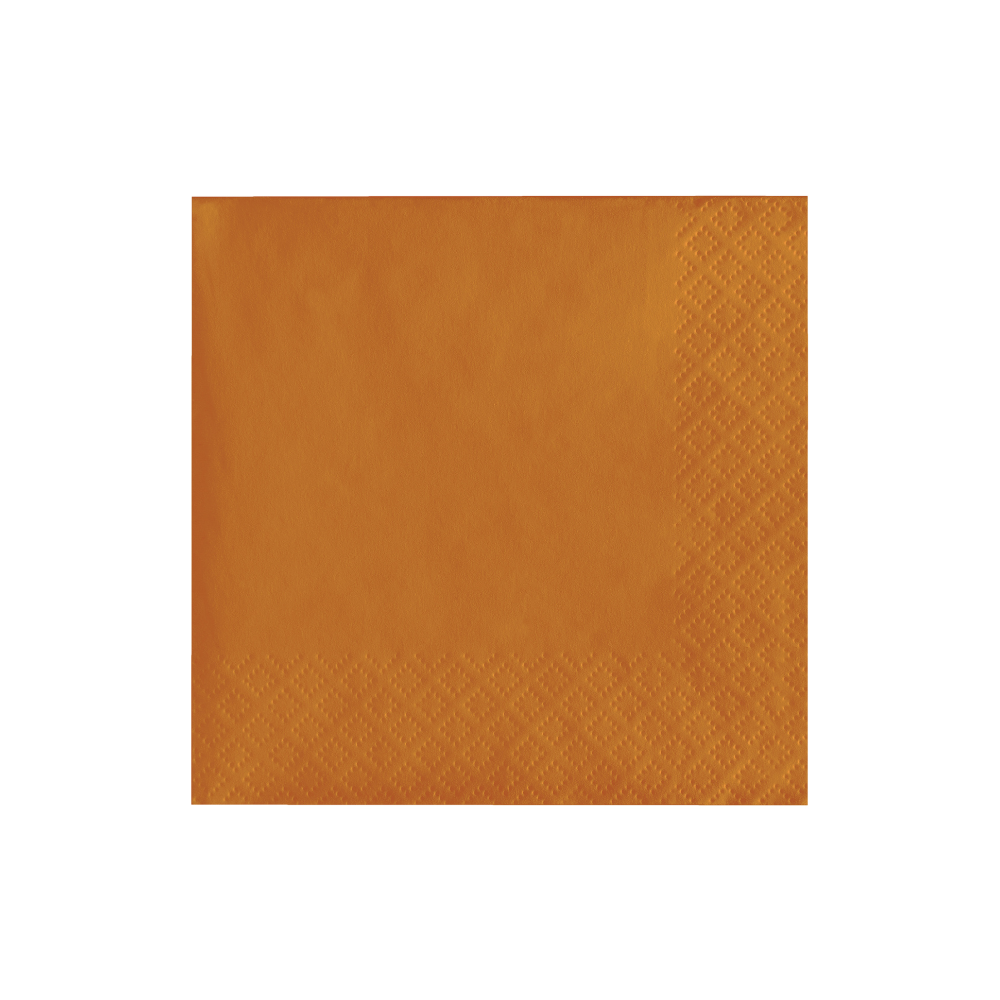 Pumpkin Spice-  2ply Beverage Napkins 