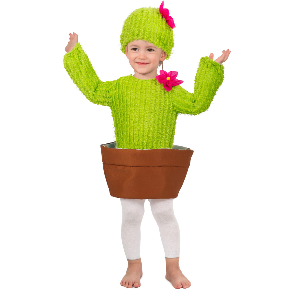 Prickles The Cactus