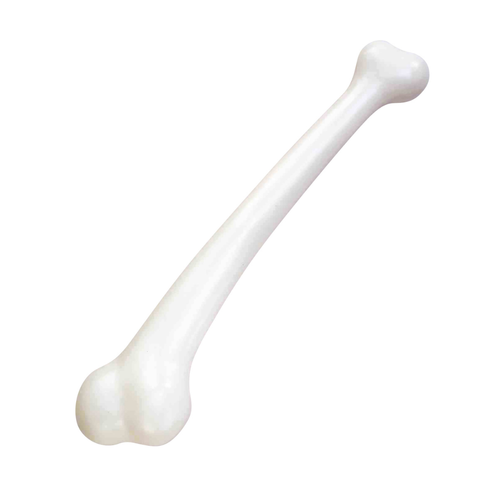 Jumbo Size Bone