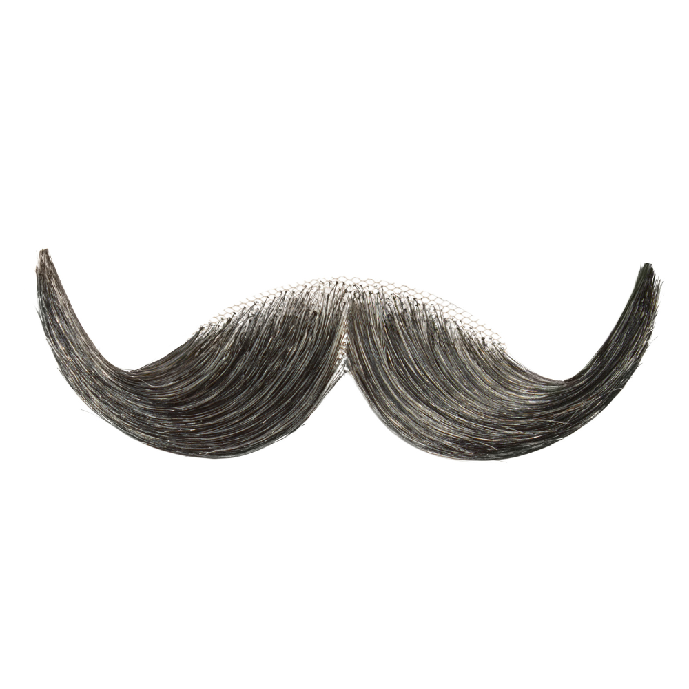 Professional Handlebar Moustac