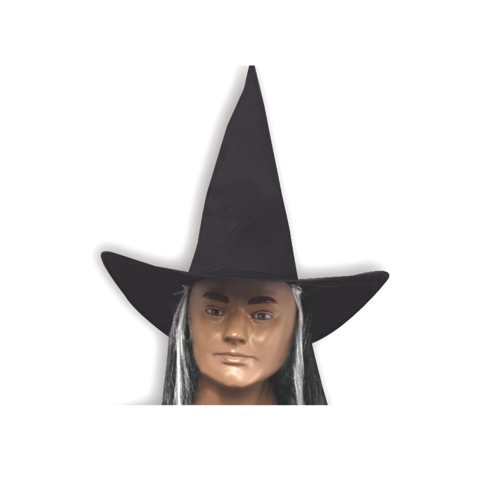 Witch Hat With Hair