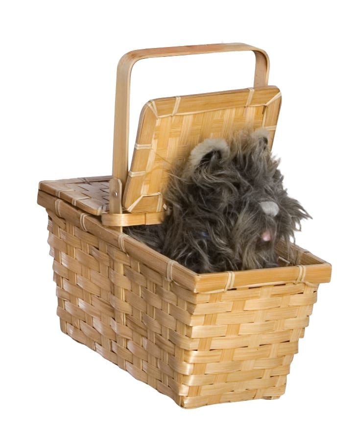 Rubie's COSTUMES: ACCESSORIES Deluxe Toto in a Basket