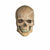 Rubies COSTUMES: MASKS Crypt Skull Mask