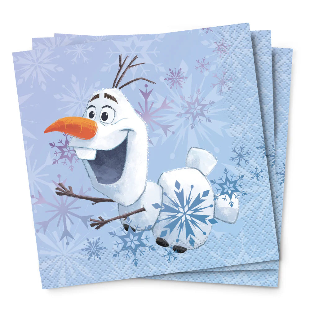 FROZEN BEVERAGE NAPKINS (16 PK)