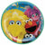 Ultimate Party Super Stores BIRTHDAY: JUVENILE Everyday Sesame Street Round Plates, 9"