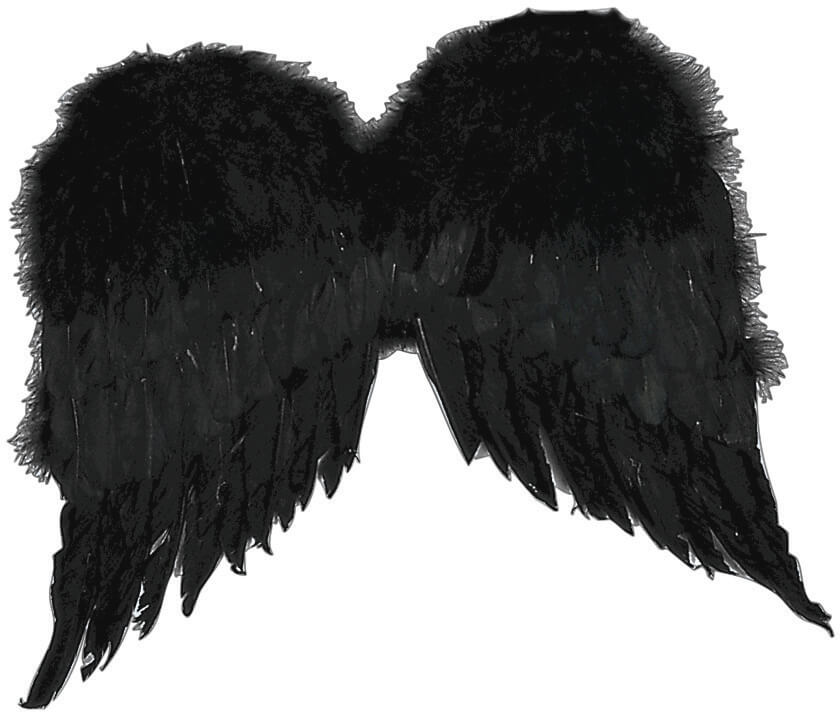 36&quot; Feather Wings Black