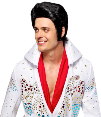 Deluxe Adult Elvis Presley Wig